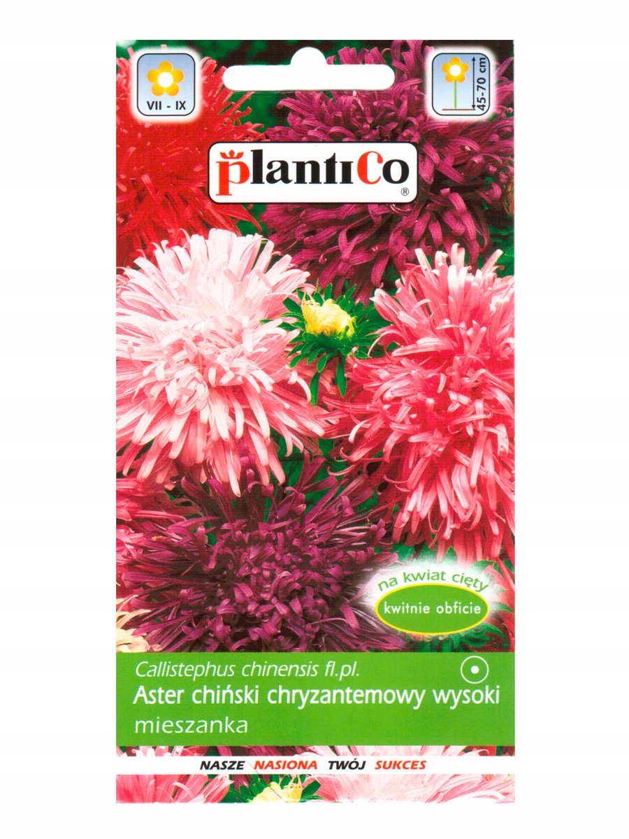 Nasiona Aster Chiński Chryzantemowy Mieszanka 1 Gram Plantico