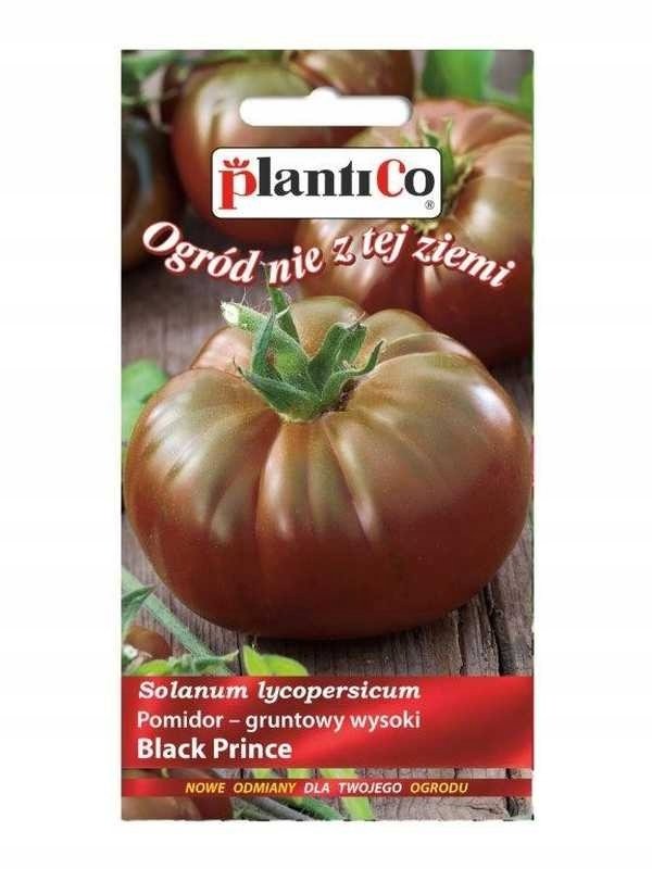 Plantico Pomidor gruntowy wysoki Black Prince ONZ