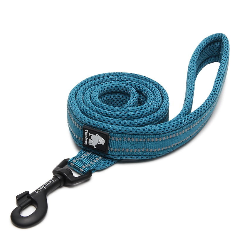 Smycz dla psa Truelove Active 110 cm, L - 2.5 cm, niebieski