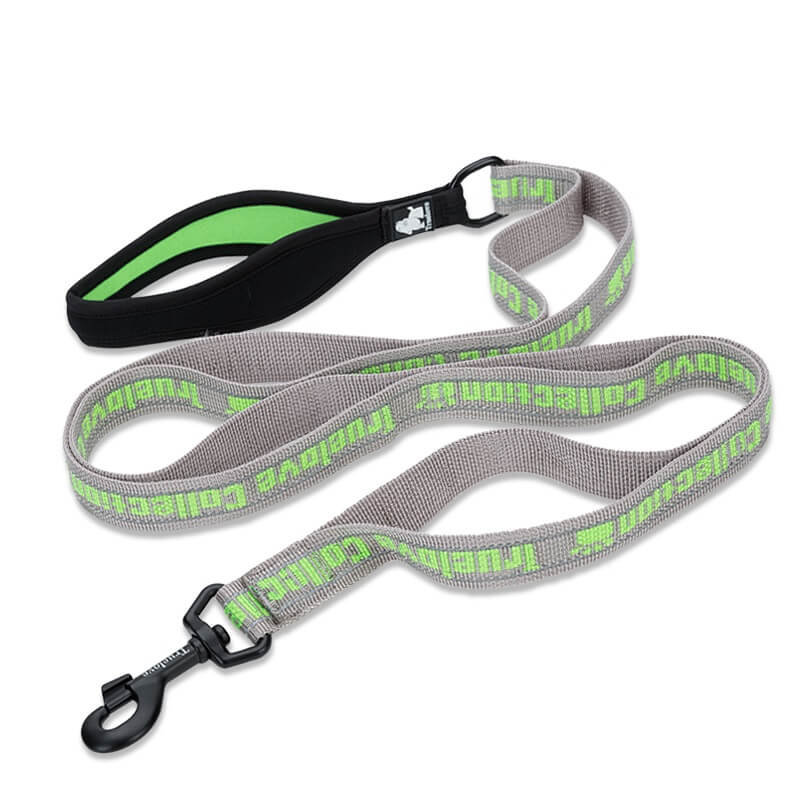 Smycz dla psa Truelove Funky L, zielony