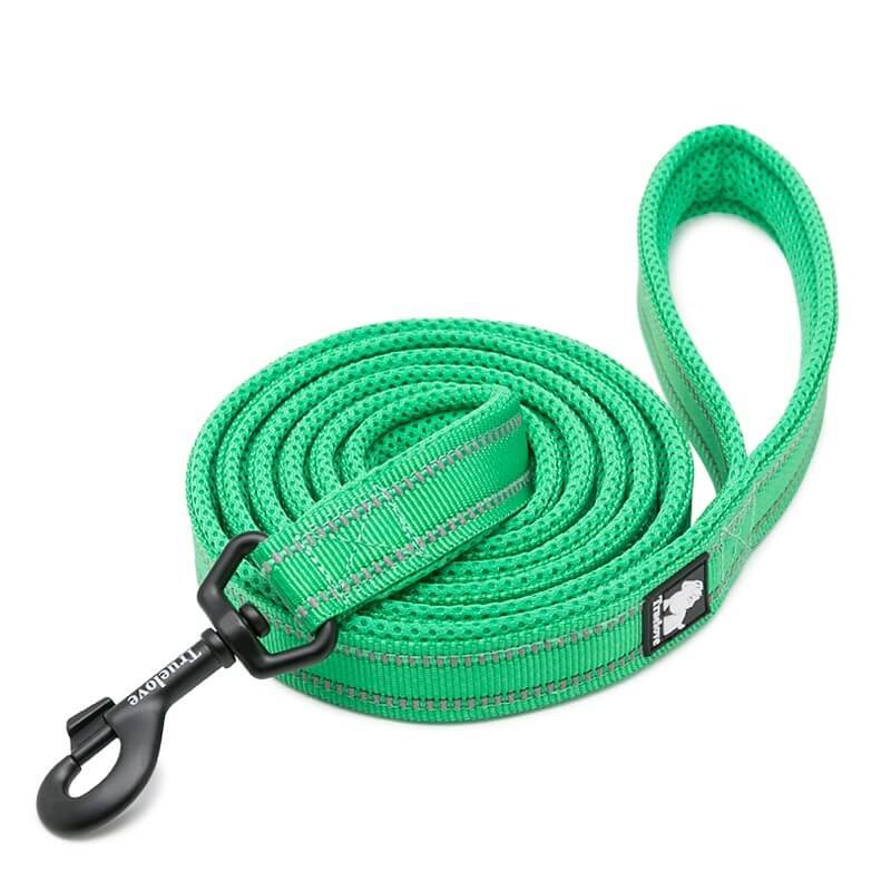 Smycz dla psa Truelove Active 200 cm, M - 2 cm, zielony
