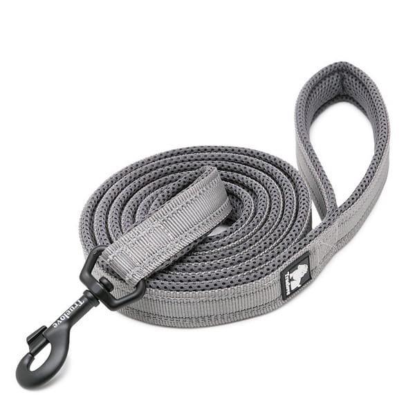 Smycz dla psa Truelove Active 200 cm, S - 1.5 cm, szary