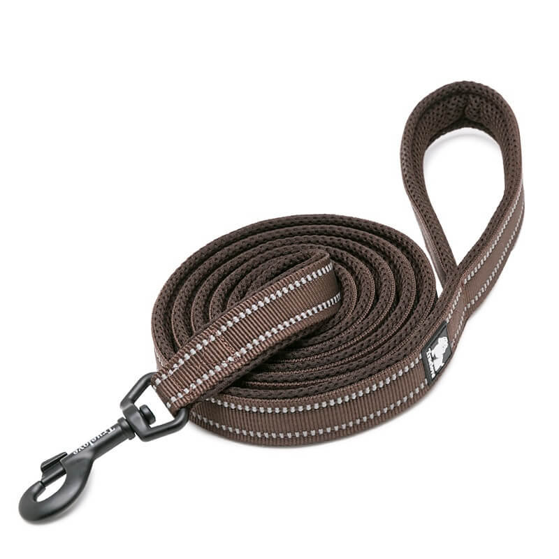 Smycz dla psa Truelove Active 200 cm, M - 2 cm, brązowy