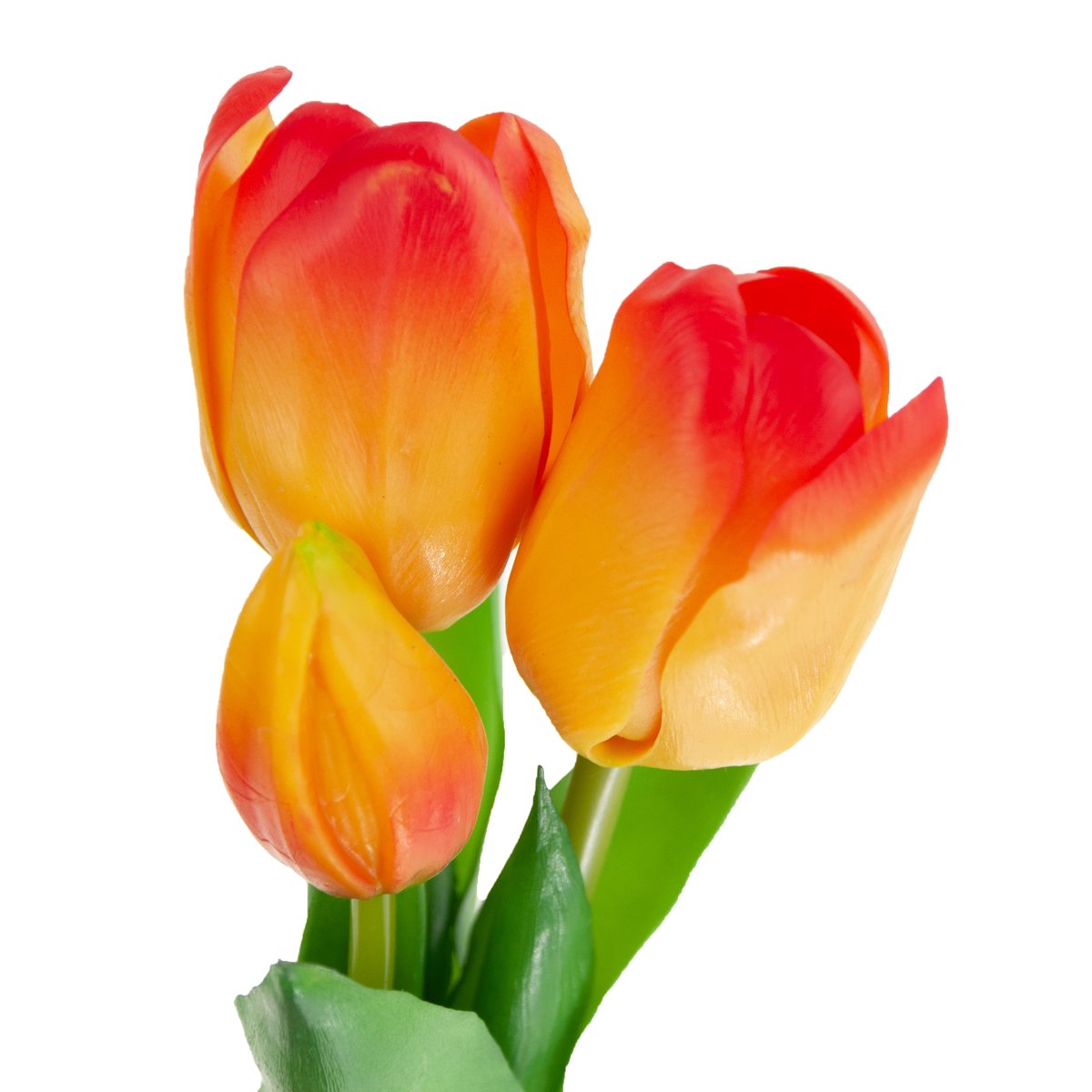 Tulipany Bukiet Tulipanów Gumowane Gumowe Jak Żywe