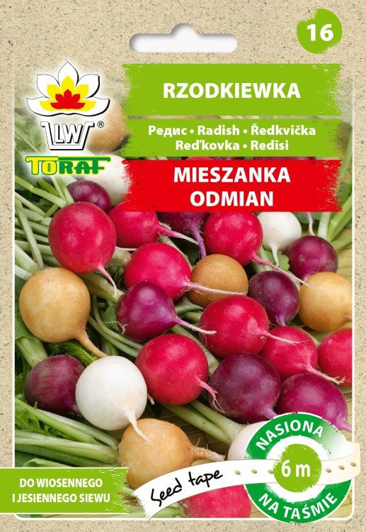 Rzodkiewka Mieszanka Odmian