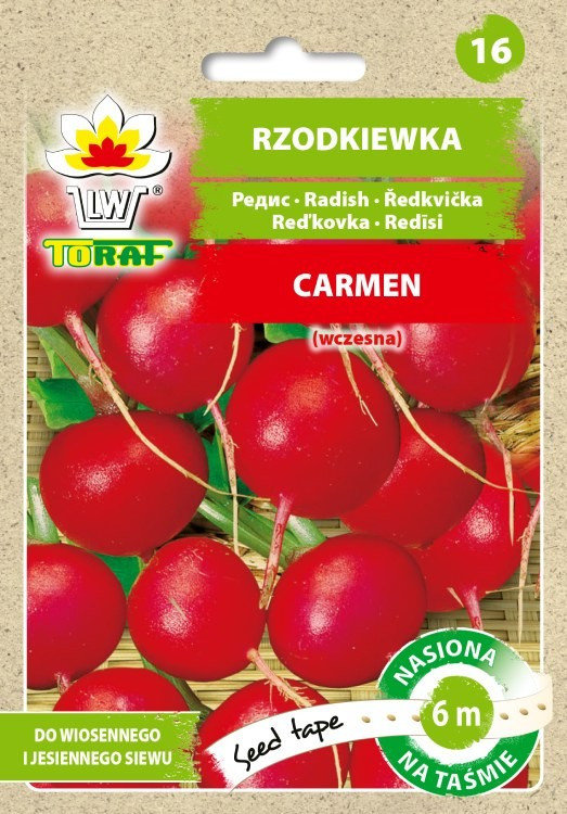 Toraf Rzodkiewka Carmen nasiona warzyw na taśmie 6m 00259