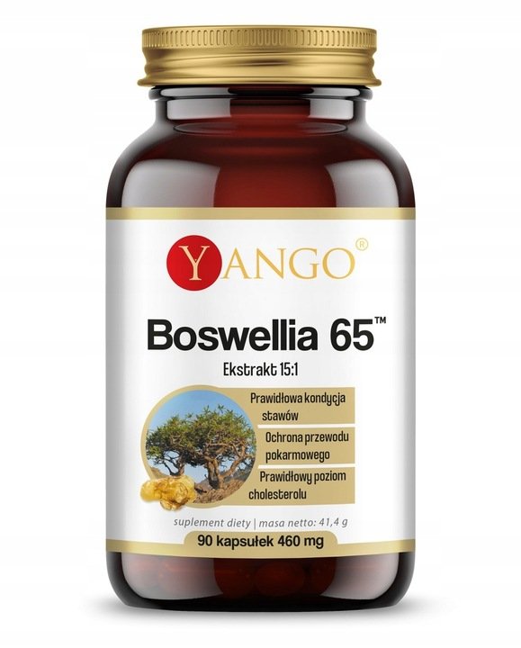 Yango Boswellia 65Tm 60 t Kadzidłowiec