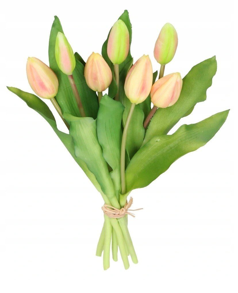 Tulipany Bukiet Tulipanów Kwiaty Gumowe Jak Żywe
