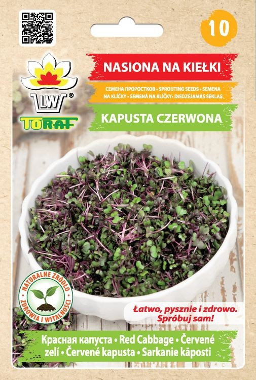 Nasiona Na Kiełki - Kapusta Czerwona