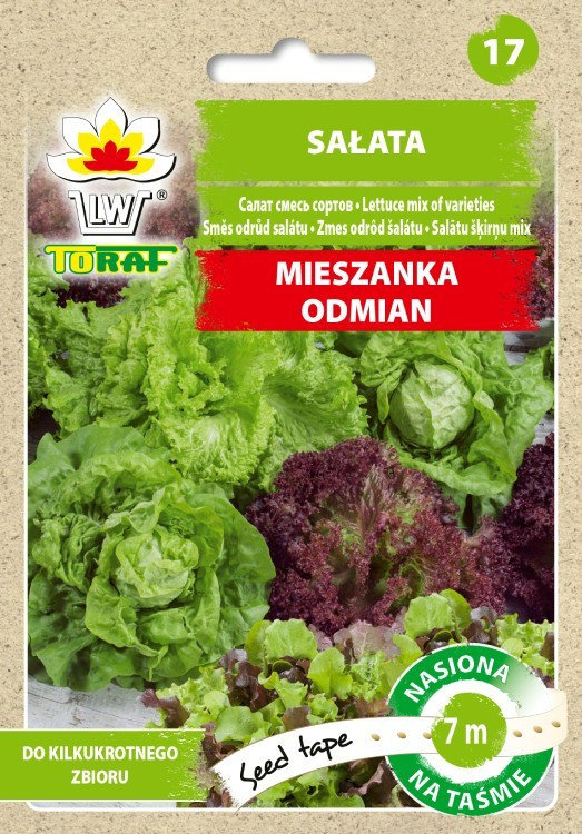 Sałata Mix Odmian