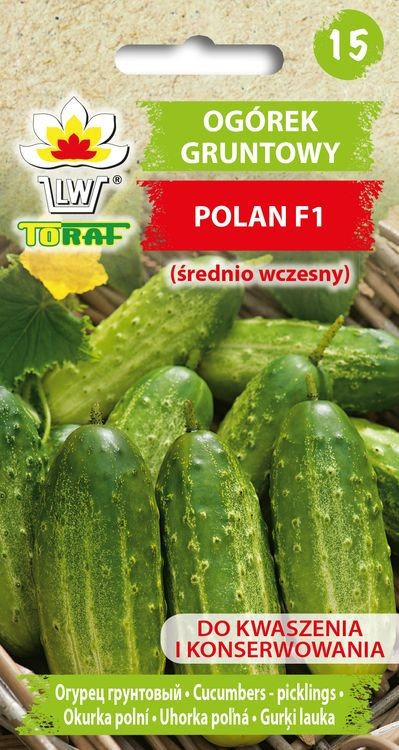 Ogórek Polan F1
