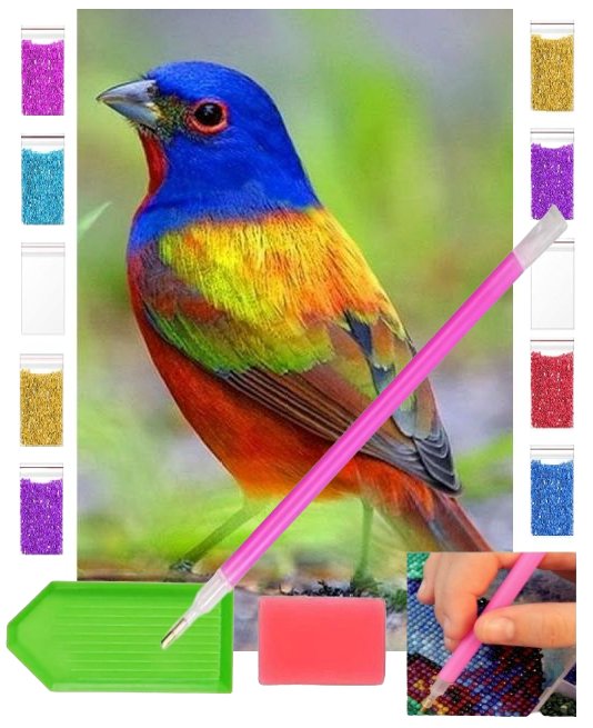 Haft diamentowy PTASZEK PTAK ŁUSZCZYK 30x40 OBRAZ duży zabawki kreatywne plastyczne