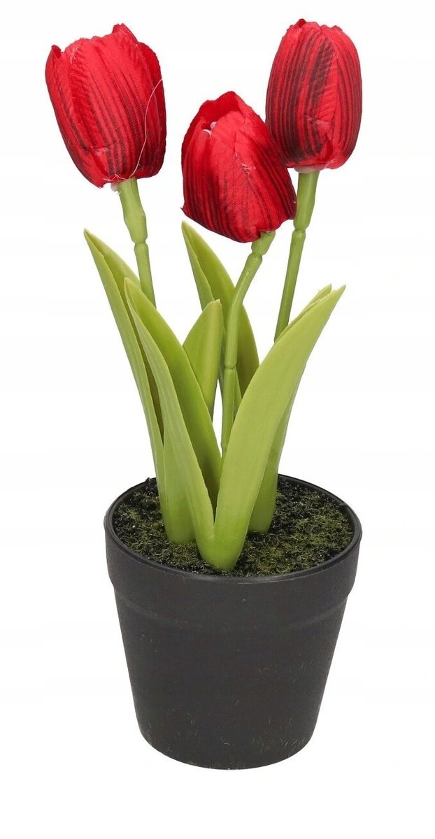 Tulipany Bukiet Tulipanów Kwiaty Gumowe Jak Żywe
