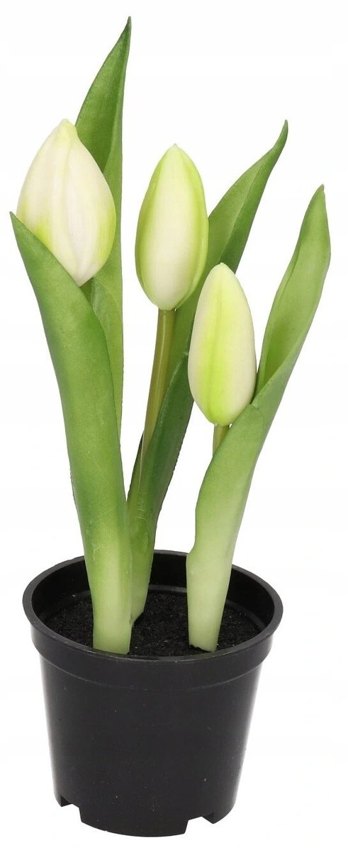 Tulipany Bukiet Tulipanów Kwiaty Gumowe Jak Żywe