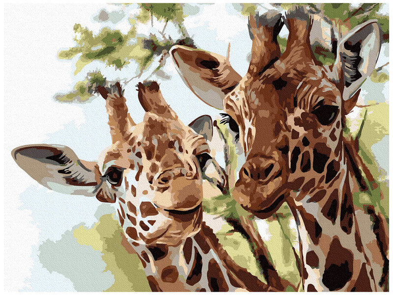 Numeromalowanie Classic 30X40 Żyrafy, Ipicasso