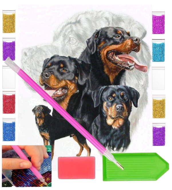 Haft diamentowy PIES rasa ROTTWEILER 30x40 OBRAZ duży zabawki kreatywne plastyczne