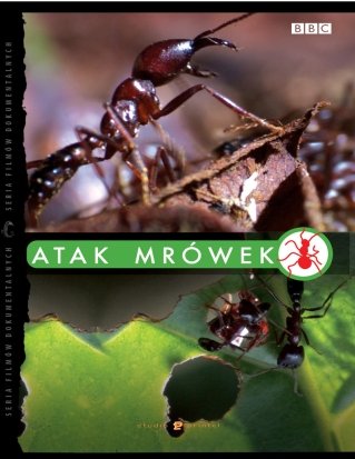 Atak mrówek