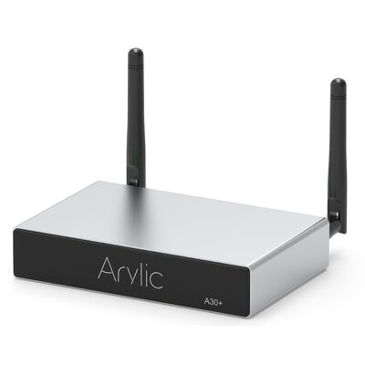 Arylic A30+