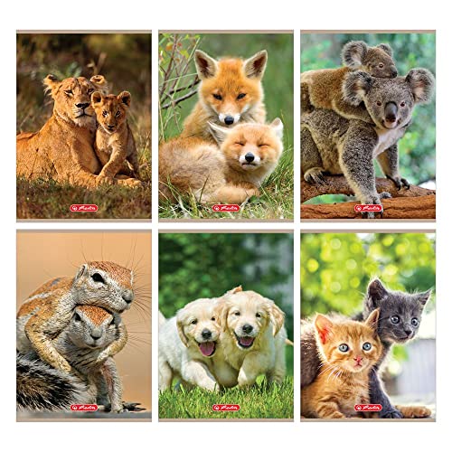 Zeszyt A5, 16 kartek w linię podwójną, Animals