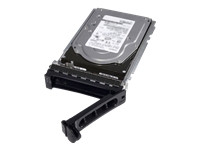 DELL 2TB 7.2K RPM NLSAS 12Gbps 512n 3.5in Hot Plug Hard Drive 14/15 GEN Rack/ 15GEN Tower