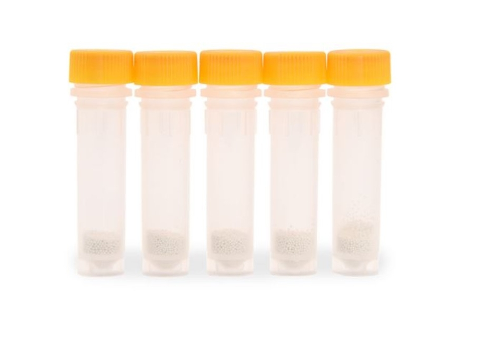 Probówka żółta (drożdże) 2ml DNase/RNase free zirconium opak. 100 szt.