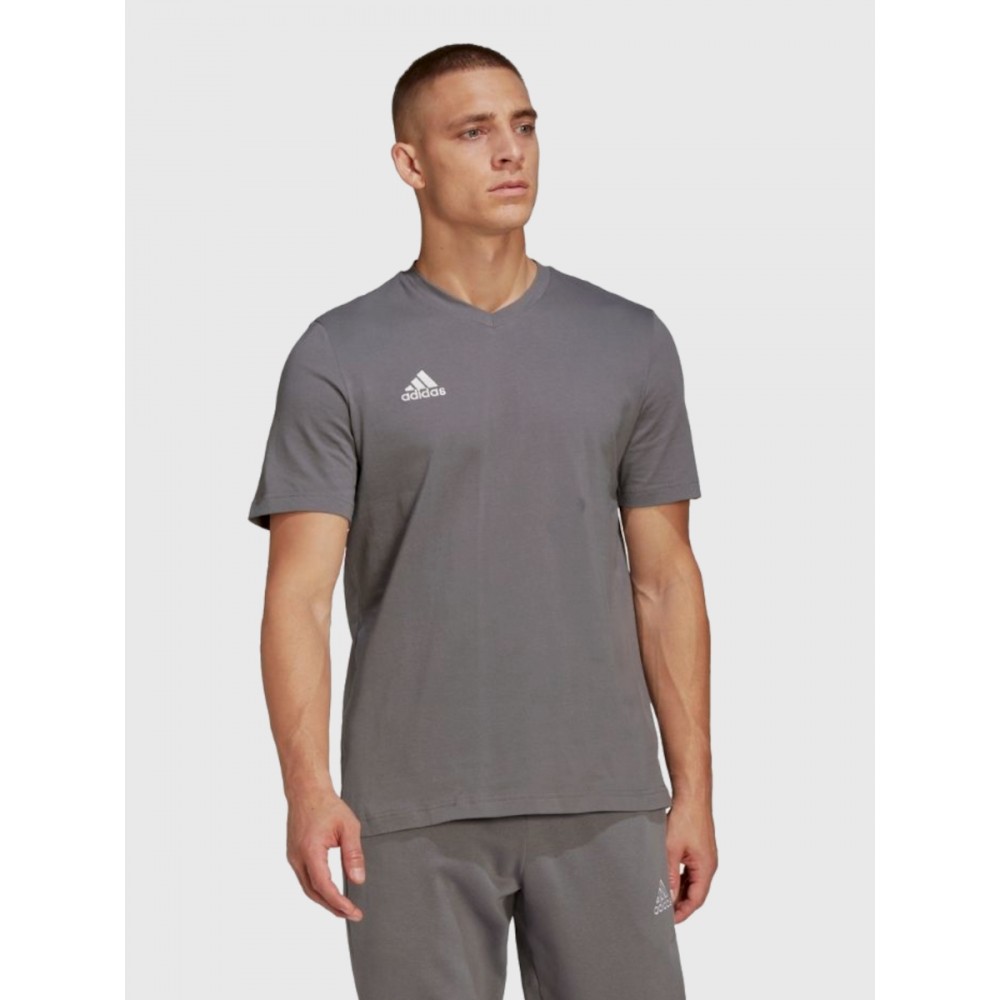 Koszulka Męska Adidas T-shirt Bawełniany Popielaty HC0449