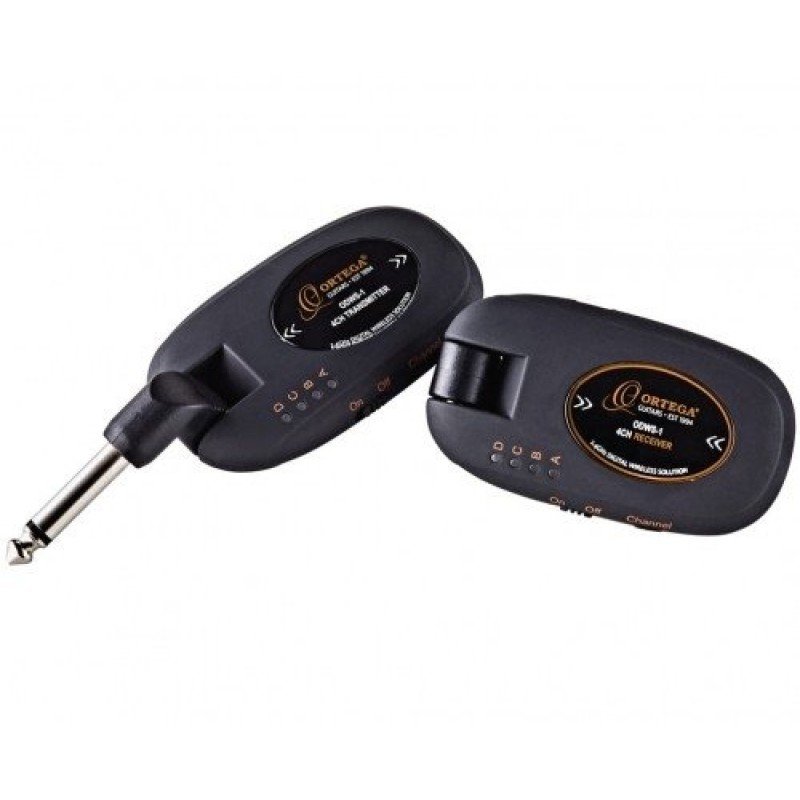 Ortega ODWS-1BK system bezprzewodowy