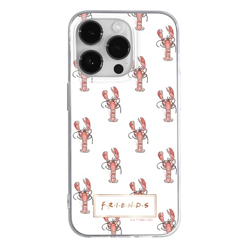 ERT GROUP etui na telefon Apple Iphone 14 PRO, case oryginalny i oficjalnie licencjonowany przez Friends, wzór Friends 010, optymalnie dopasowane, plecki z TPU