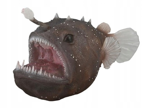 Żabnica - Collecta