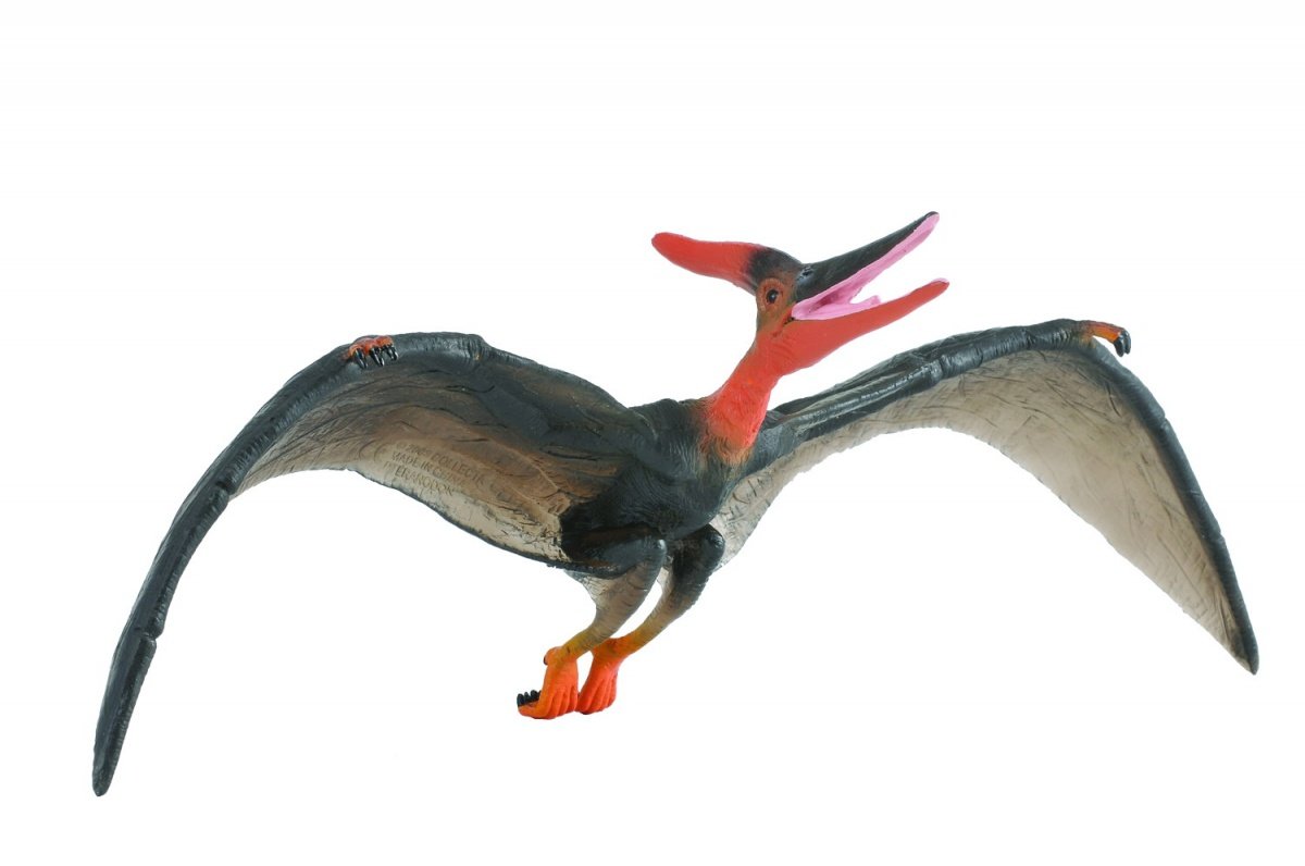 Collecta Dinozaur pteranodon deluxe 1:40