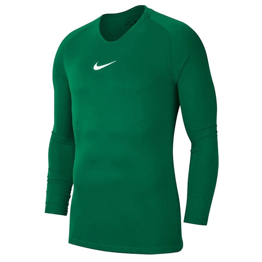 Nike, Koszulka dziecięca, Y NK Dry Park 1STYR JSY LS AV2611 302, zielony, rozmiar S