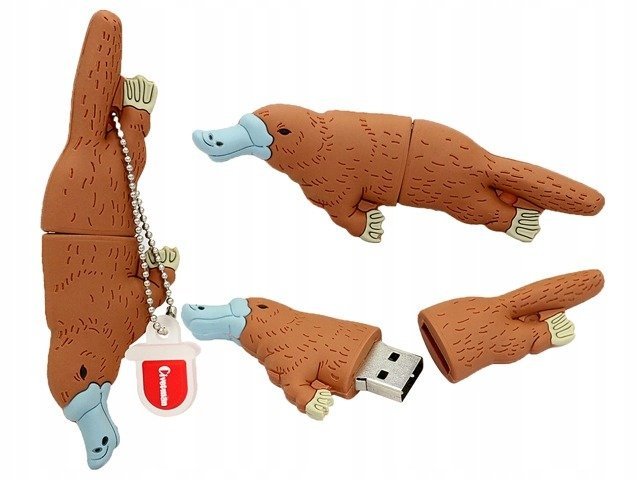 DR.MEMORY Bóbr, 64GB