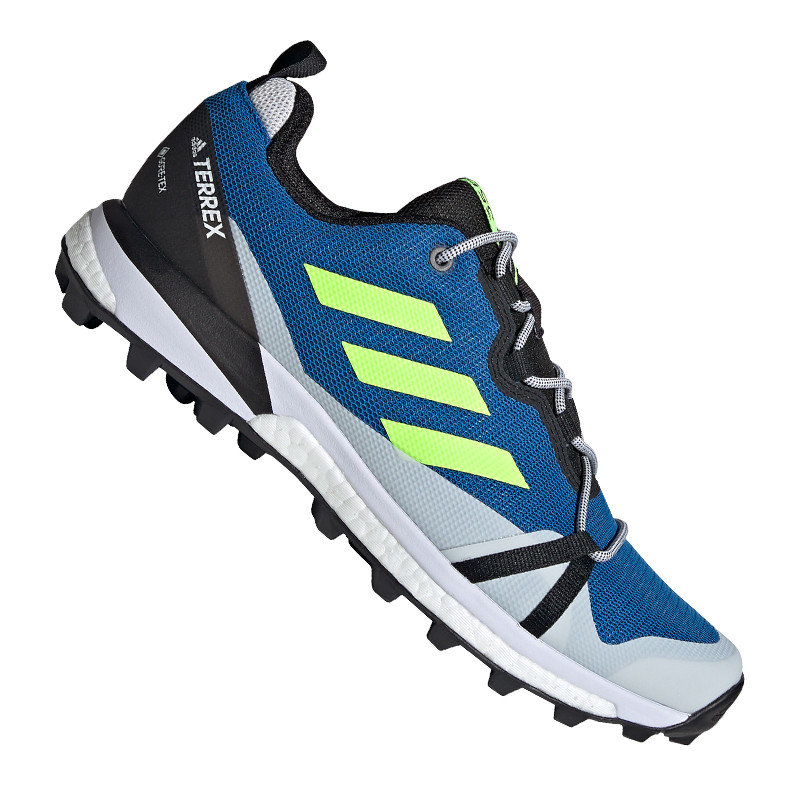 Adidas Buty męskie Terrex Skychaser Lt Gtx niebieskie r 41 1/3 EH2427 EH2427 4113