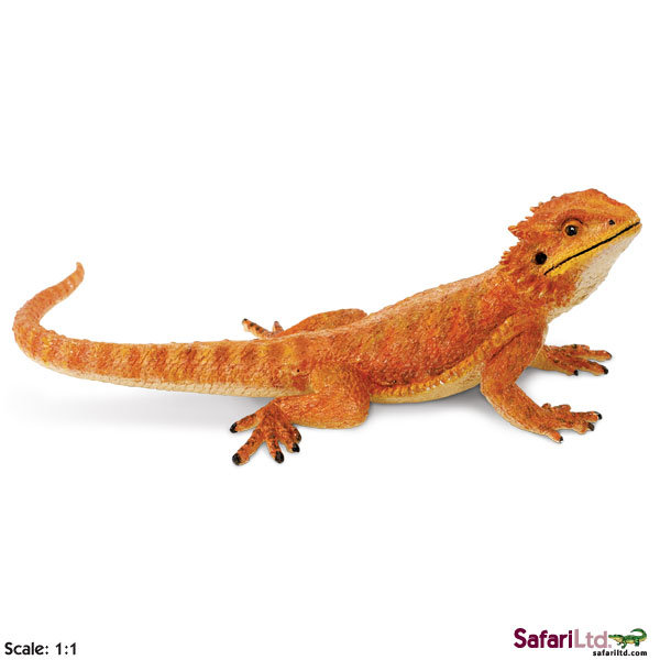 Safari Xl Ltd 263129 Agama Brodata jaszczurka 21,5x14,5x7,5cm 729488