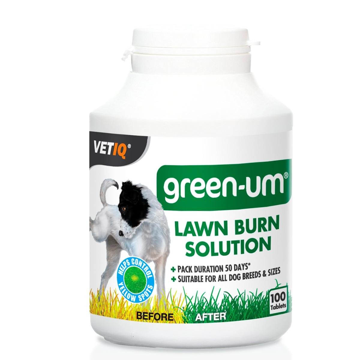 VETIQ green-um 100 tabletek