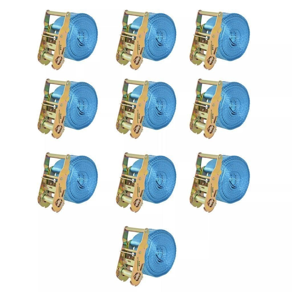 vidaXL Pasy transportowe z zapadkami, 10 szt, 2 T, 6m x 38mm, niebieskie vidaXL