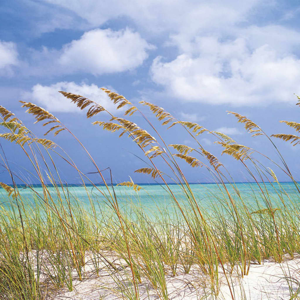 Fototapeta OCEAN BREEZE 254 x 368 cm