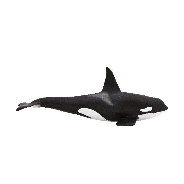 Animal Planet Orka Oceaniczna Samiec - 387114 XXL