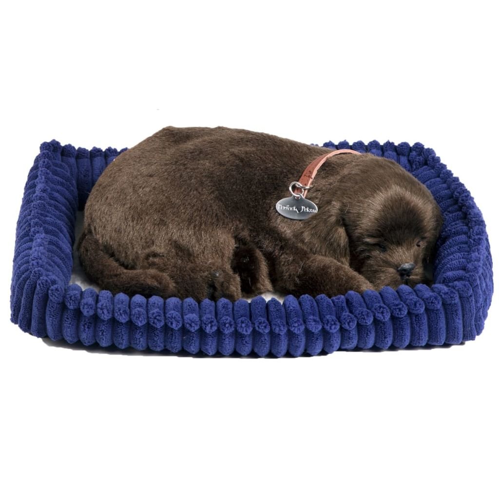 Plenty Gifts Perfect Petzzz Pies zabawka, czekoladowy labrador 96231