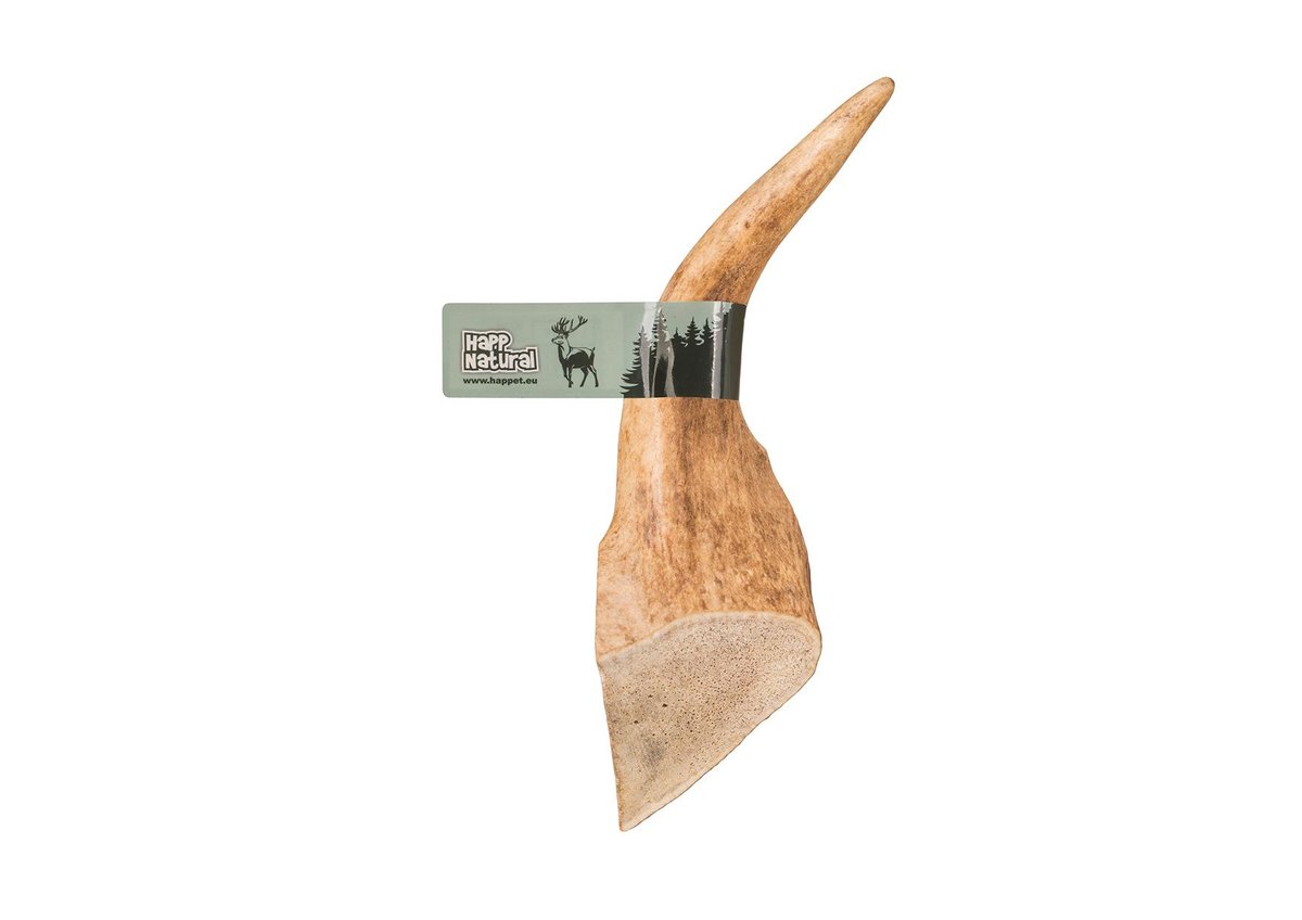 4DOGS Gryzak XL Easy 18 cm Pies Zabawka