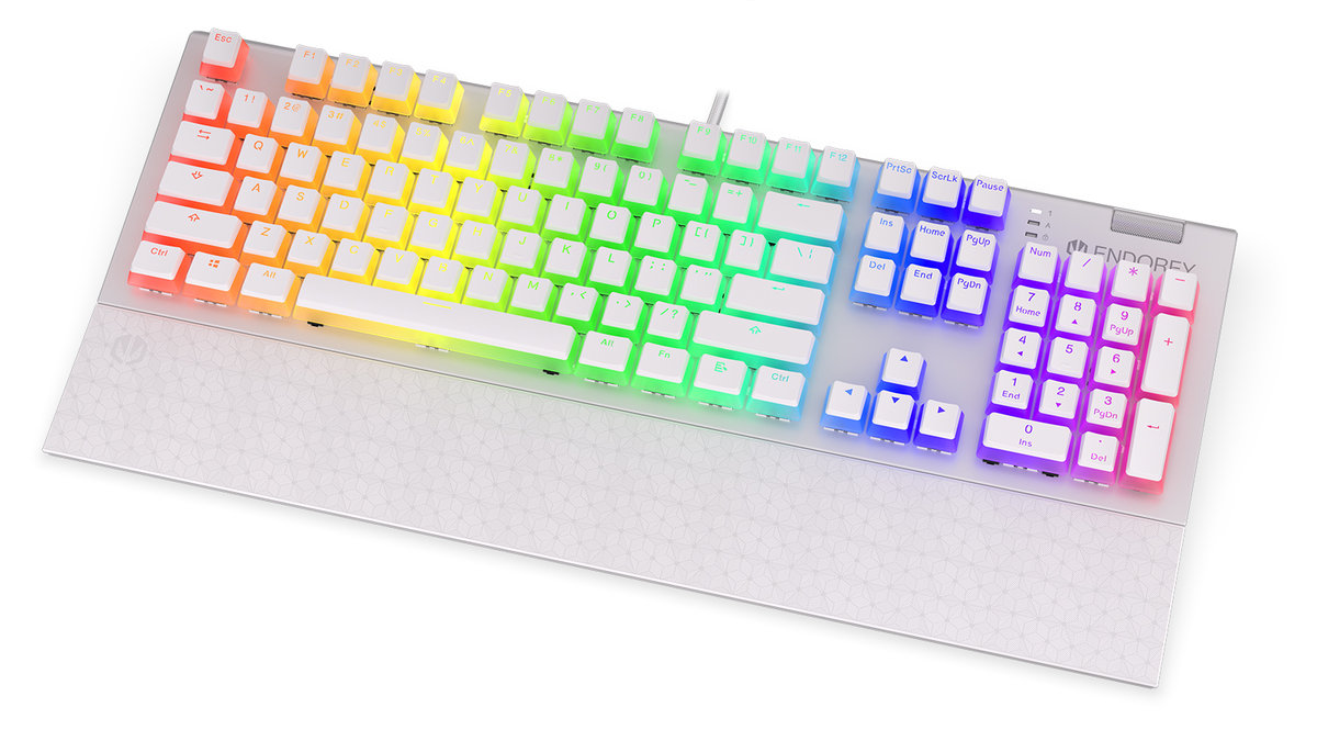 ENDORFY Omnis Pudding Onyx White Blue Kailh RGB EY5A034