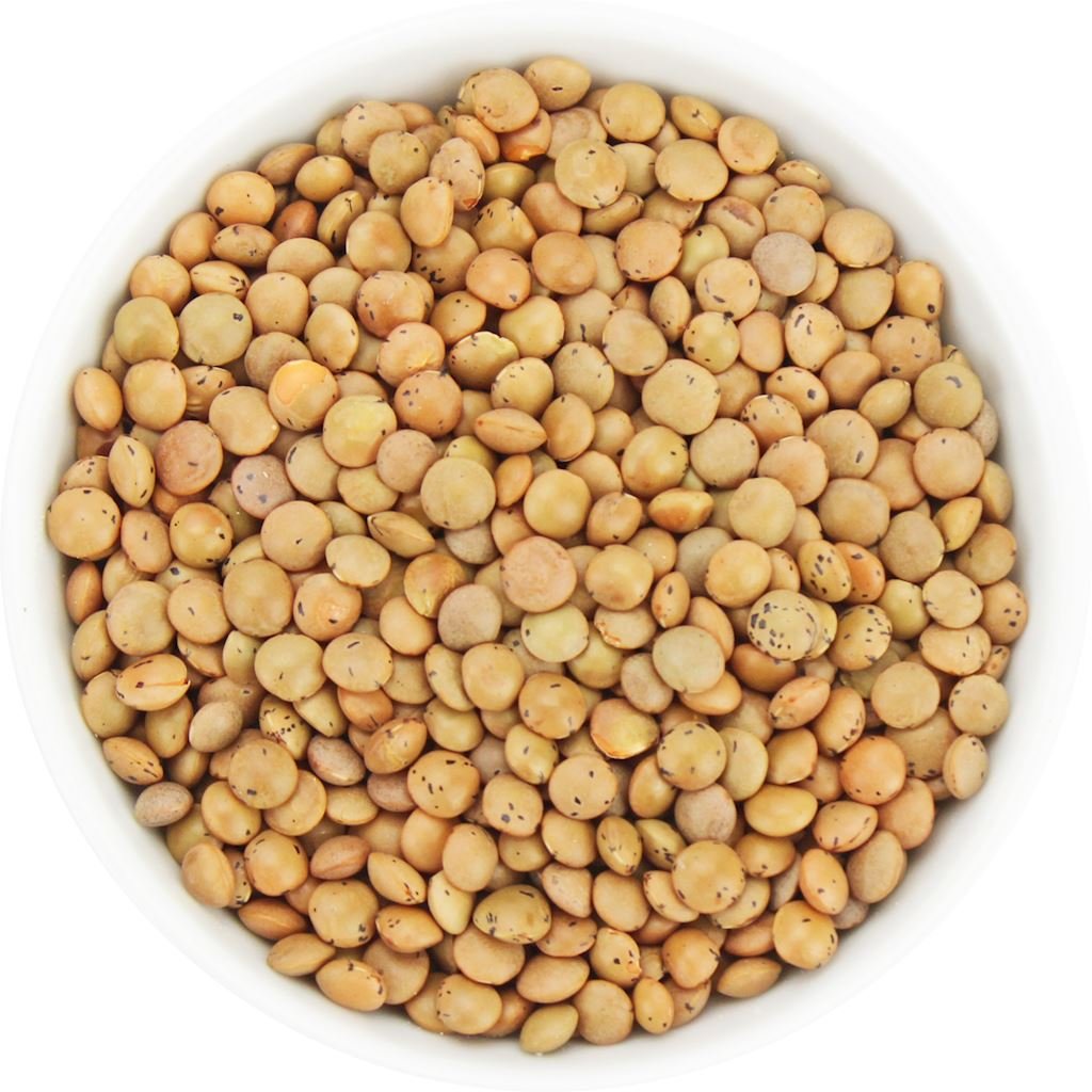 Horeca SOCZEWICA BRĄZOWA BIO (SUROWIEC) (25 kg) 6