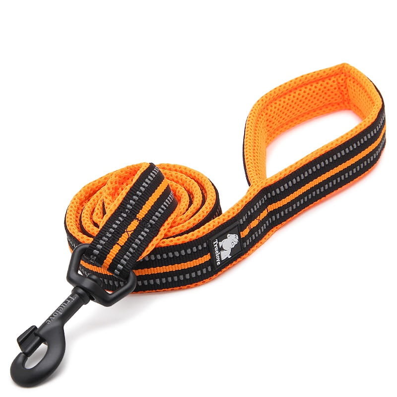 Smycz dla psa Truelove Active 200 cm, L - 2.5 cm, pomarańczowy