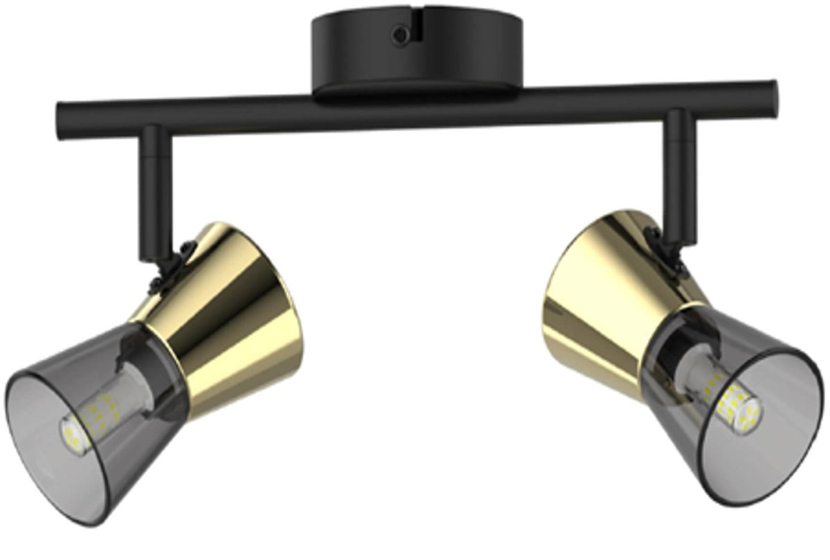 Listwa sufitowo-ścienna z dymionymi kloszami TK220532-2BG z serii CENTO