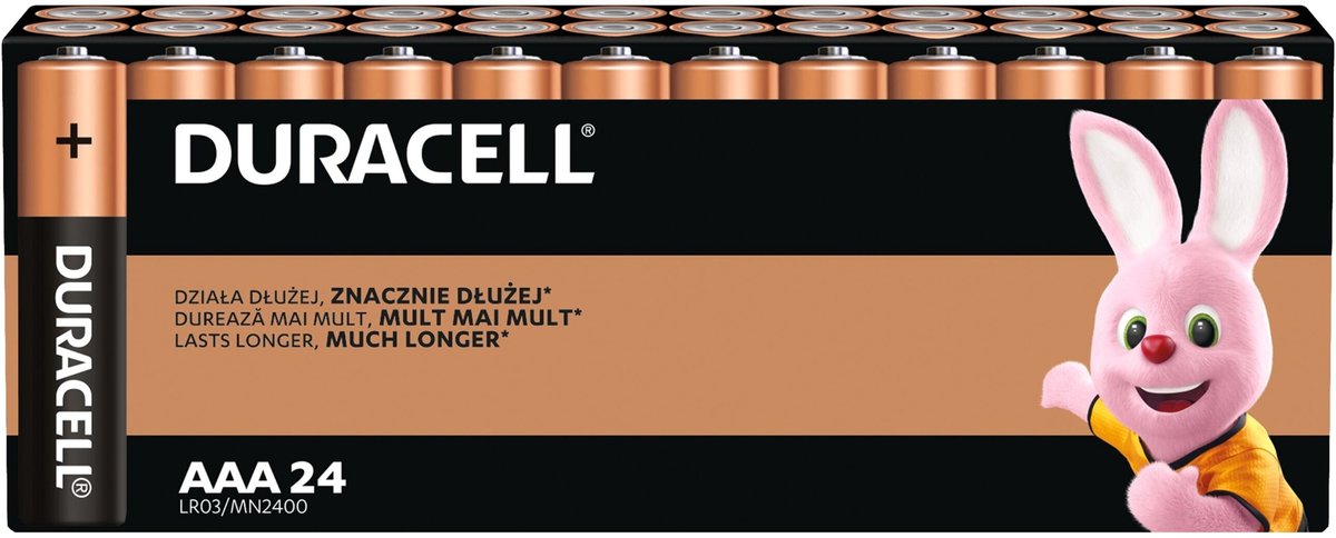 Baterie Alkaiczne DURACELL Basic AAA LR03 24szt