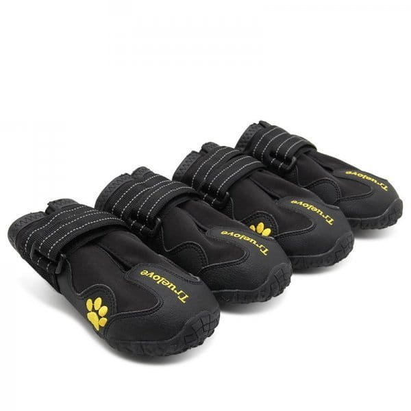 Wygodne buty dla psa na lato zimę Truelove husky 6
