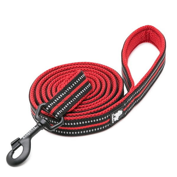 Smycz dla psa Truelove Active 200 cm, L - 2.5 cm, czerwony