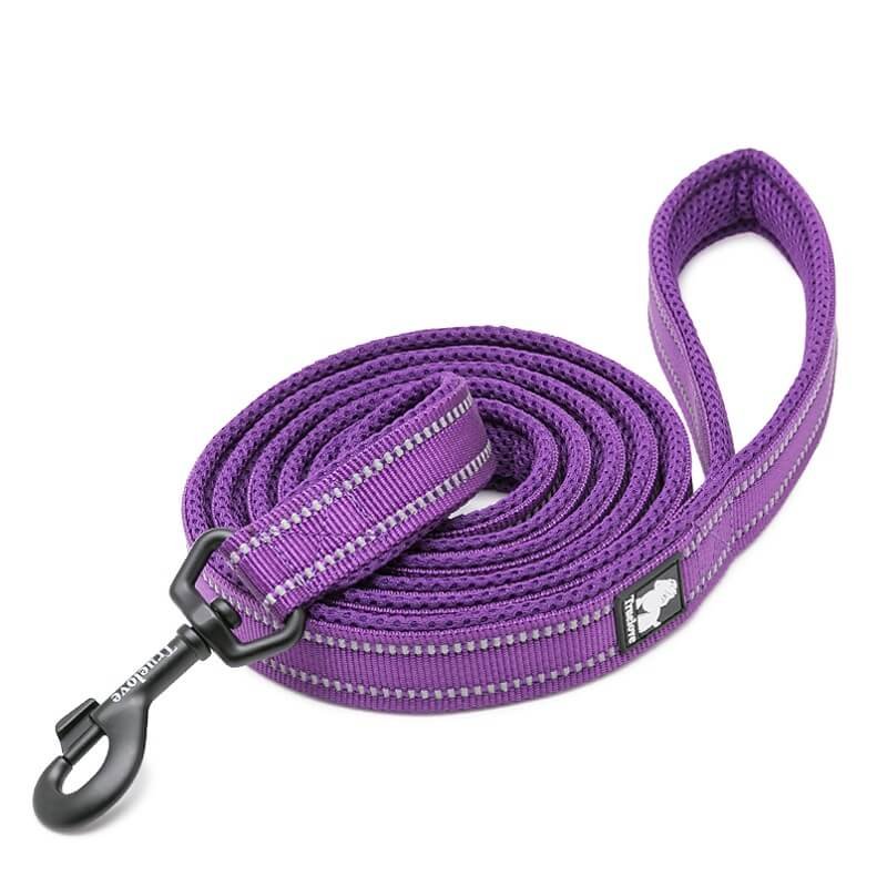 Smycz dla psa Truelove Active 200 cm, L - 2.5 cm, fioletowy