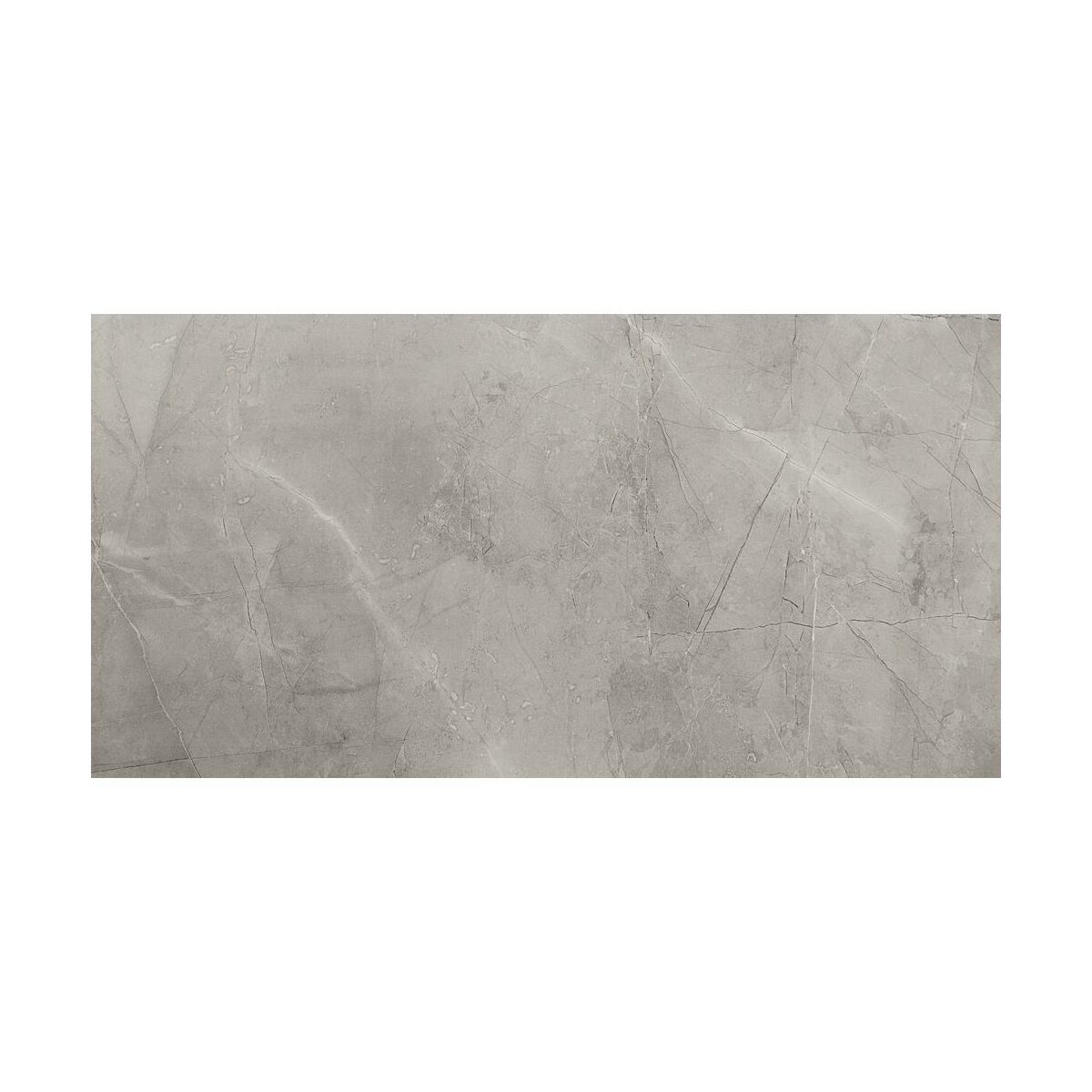 Gres szkliwiony Remos Grey 59.8 X 119.8 Arte