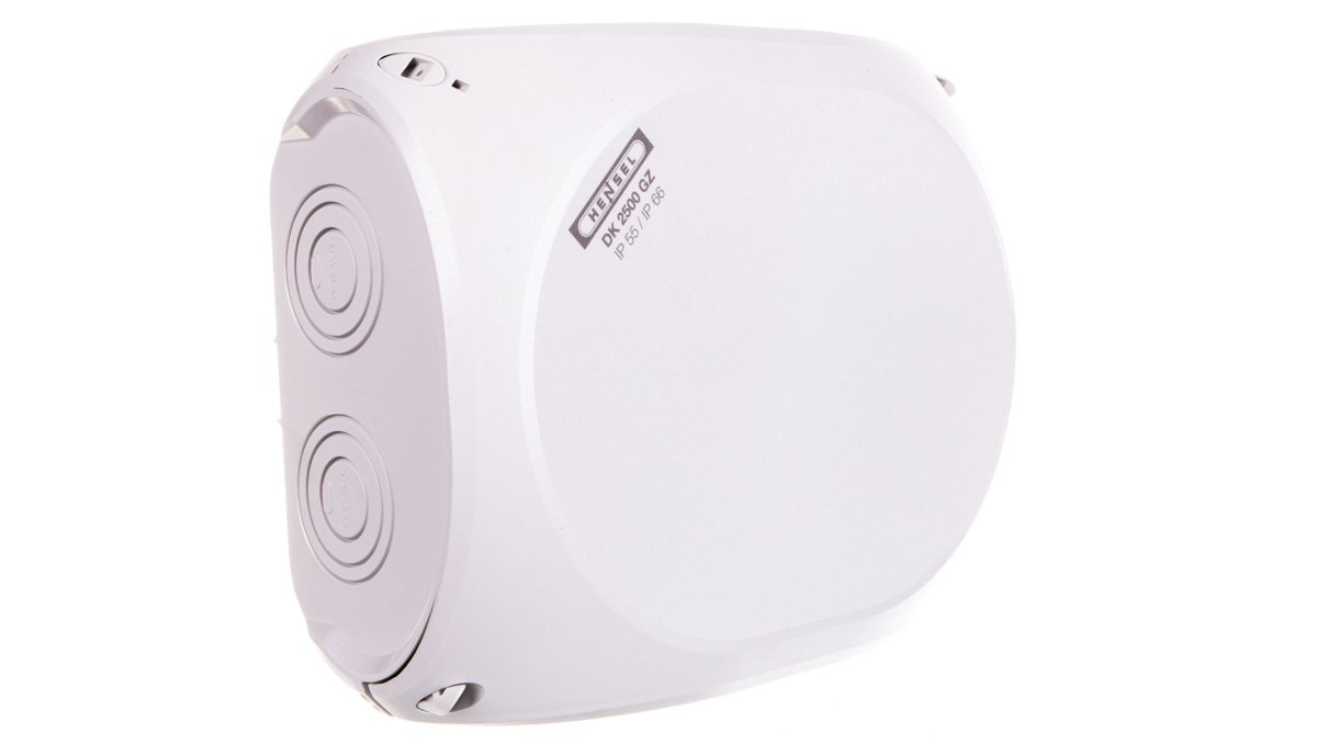 Hensel Puszka odgałęźna DK 0604 GZ natynkowa dla Cu 1,5-4 mm2 z zaciskami 5 biegunowa szara z tylną dławnicą 5433 DK 0604 GZ
